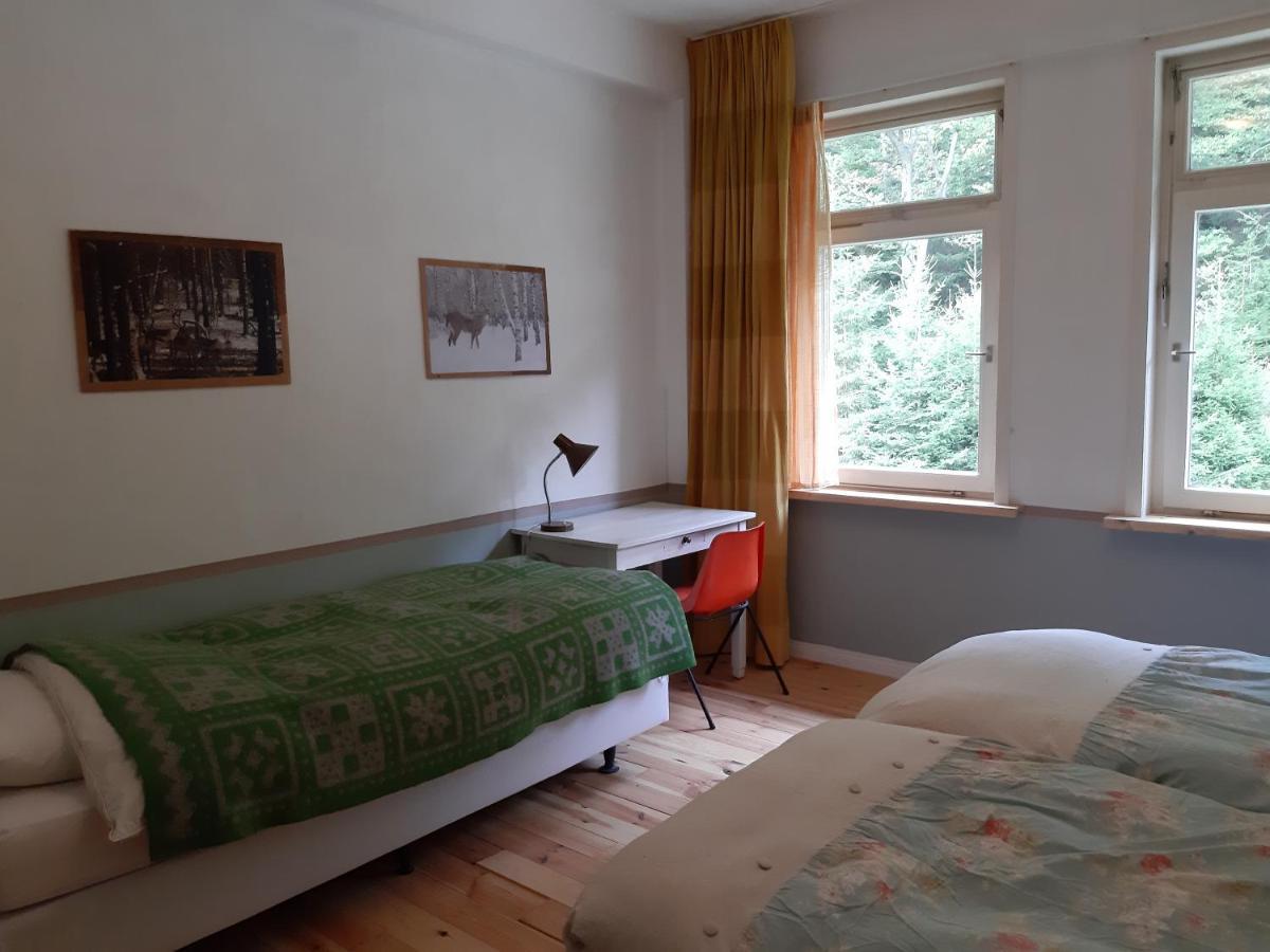 Das Okerhaus Vegetarische B&B Mit Halbpension Altenau  Exteriér fotografie